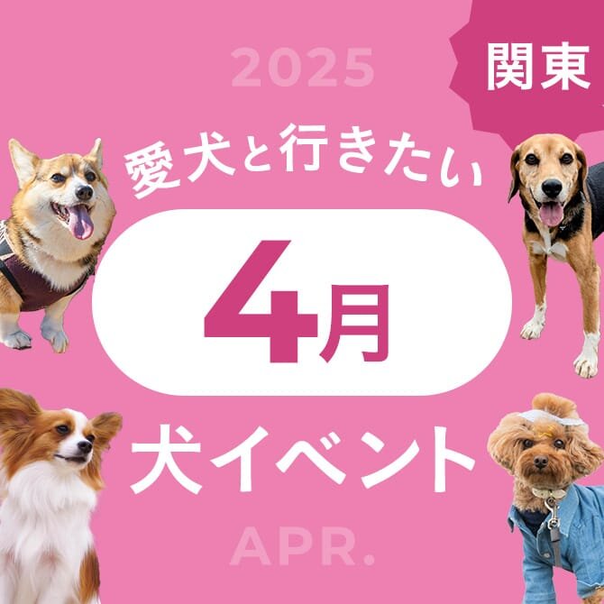 【2025年4月】関東で愛犬と行きたいドッグイベント20選