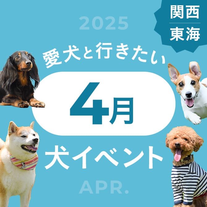 【2025年4月】関西で愛犬と行きたいドッグイベント13選