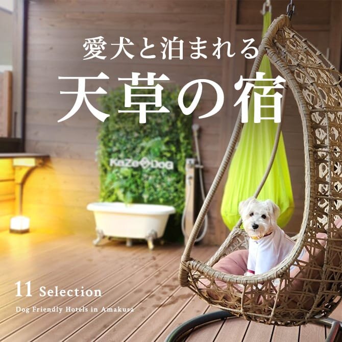 天草のペットと泊まれる宿｜ホテル・コテージ一覧