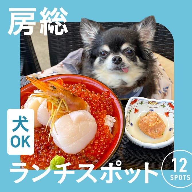 【千葉・房総でランチに使えるお店】犬連れOKのカフェ・レストランまとめ