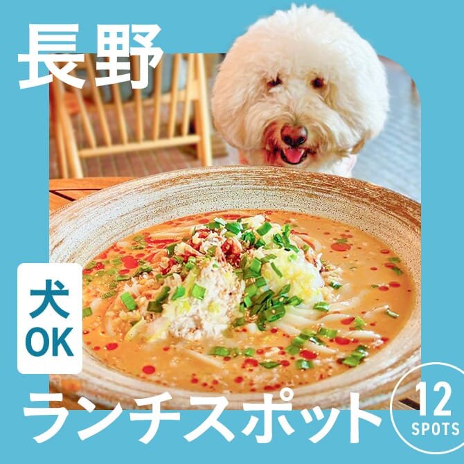 【長野でランチに使えるお店】店内犬連れOKのカフェ・レストランまとめ