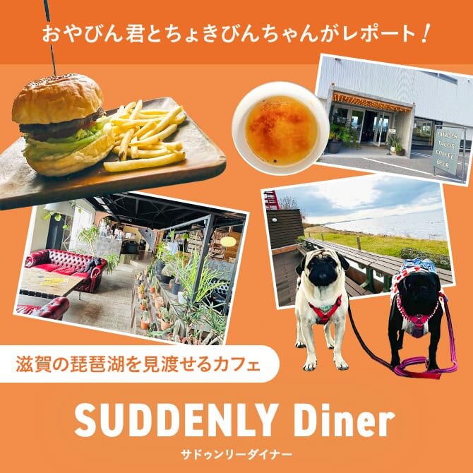【SUDDENLY Diner（サドゥンリーダイナー）】滋賀ドッグカフェおでかけレポート