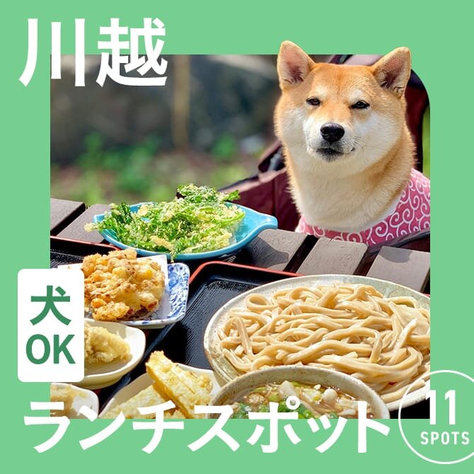 【川越の犬連れランチができるカフェ11選】川越・小江戸のペット可・店内犬同伴OKカフェ一覧