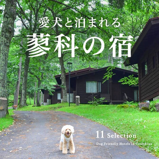 蓼科のペットと泊まれる宿｜犬と泊まれるホテル・コテージ一覧