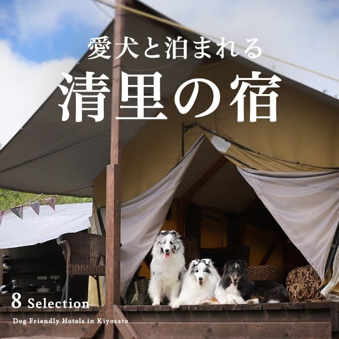 清里の犬と泊まれる宿｜ペットと泊まれるコテージ・ペンション