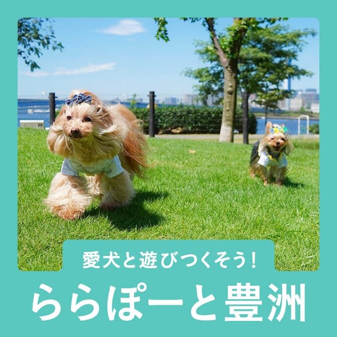 アーバンドックららぽーと豊洲を愛犬と楽しもう。 愛犬と行くららぽーと完全ガイド！