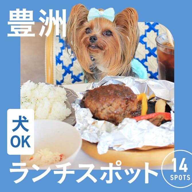 【豊洲】犬連れでランチできるカフェ14選！ペット可・店内犬同伴OKのお店