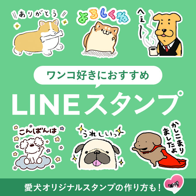 犬好きにおすすめのLINEスタンプとオリジナルスタンプの作り方
