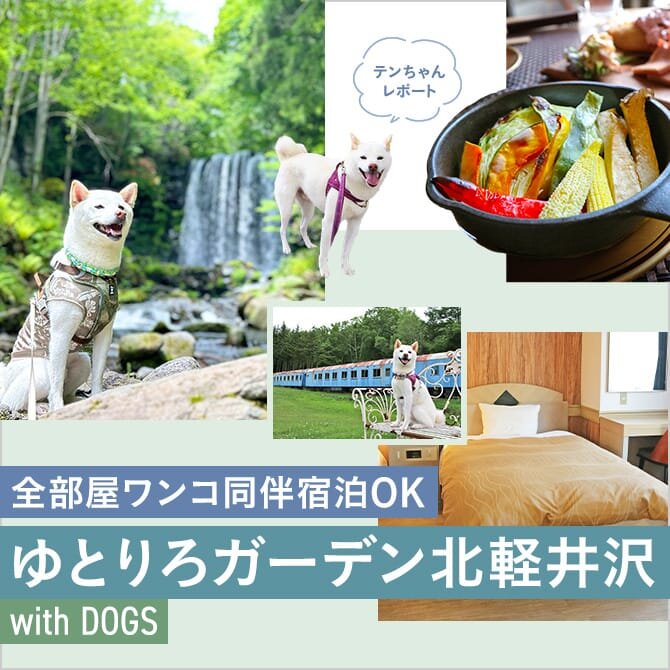 【ゆとりろガーデン北軽井沢 with DOGS】愛犬と泊まれるドッグラン付きハーフアウトドアホテル