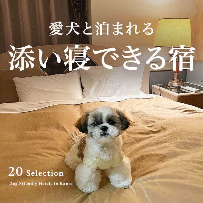 愛犬と添い寝ができる宿｜ペットと泊まれる添い寝OKの宿