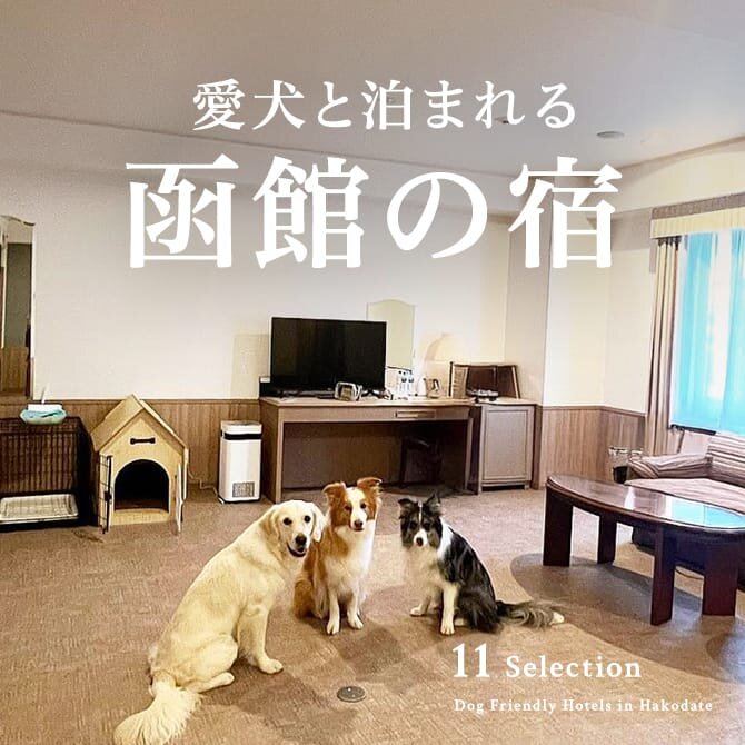 函館のペットと泊まれる宿｜犬と泊まれるホテル・コテージ