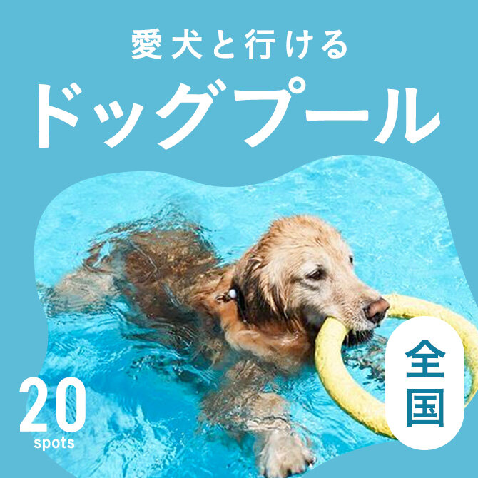 【おすすめドッグプール】ドッグプール・犬用プールがある人気施設一覧