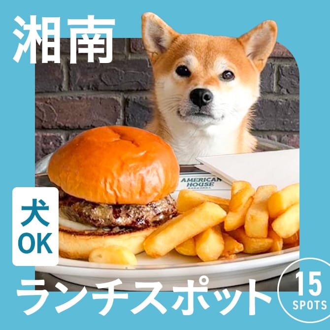 【湘南】犬連れでランチできるカフェ15選！ペット可・店内犬同伴OKのお店