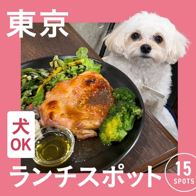 【東京の犬連れランチ・カフェ15選】ペット可・犬連れOK！名物グルメや人気ランチが楽しめるカフェ