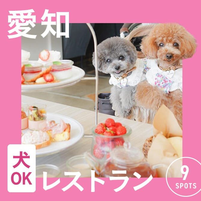【愛知で愛犬と行けるレストラン】犬連れ・ペット同伴OKな人気レストラン