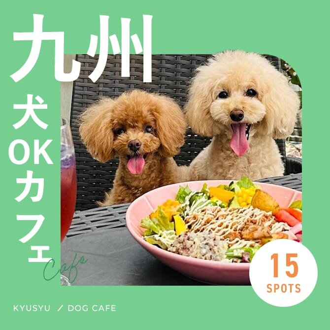 【九州ドッグカフェ15選】犬連れOKの人気カフェ・レストランまとめ