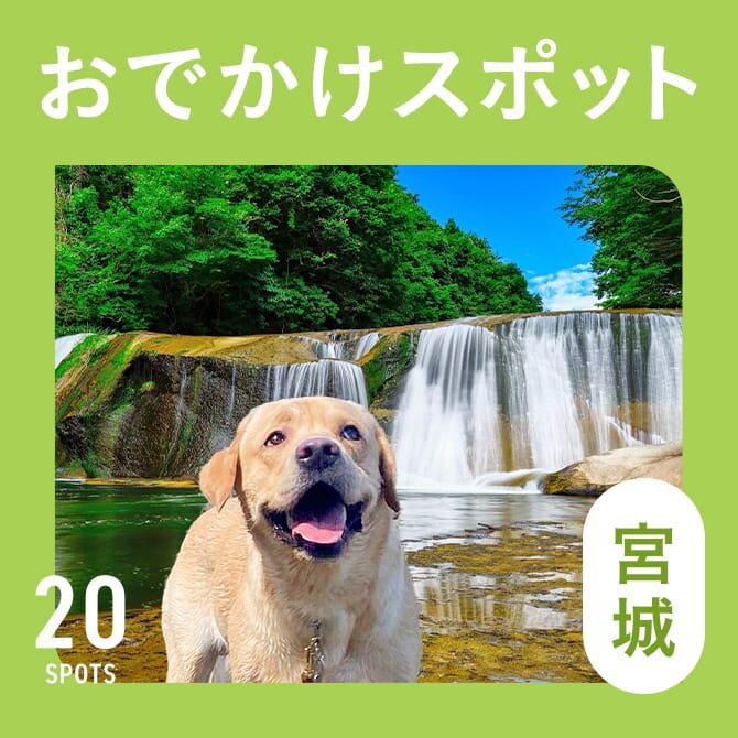【宮城の犬連れ観光スポット20選】ペット可のおでかけスポット＆犬連れランチ・カフェ