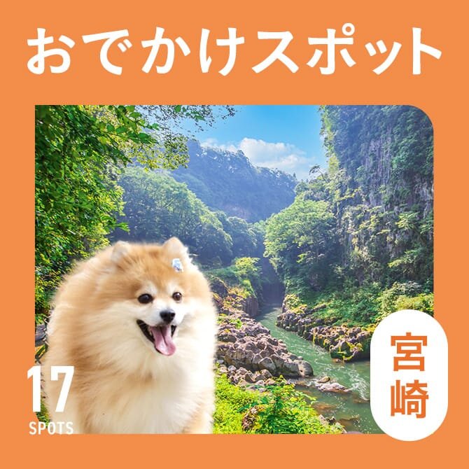 【宮崎の犬連れ観光スポット17選】犬連れおでかけ＆ランチ・カフェ