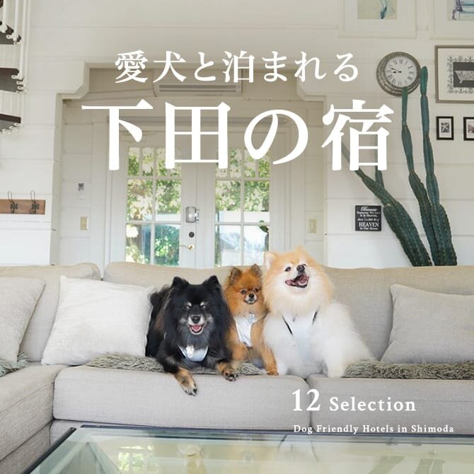 下田のペットと泊まれる宿｜静岡下田の犬と泊まれる人気宿
