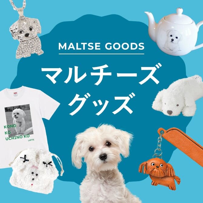 【マルチーズグッズ15選】プレゼントにもおすすめな人気のマルチーズグッズ