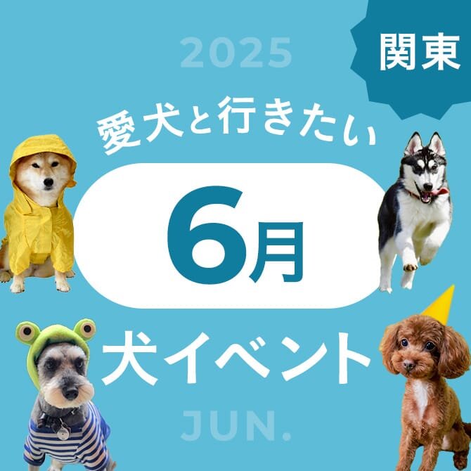 【2025年6月】関東で愛犬と行きたいドッグイベント16選