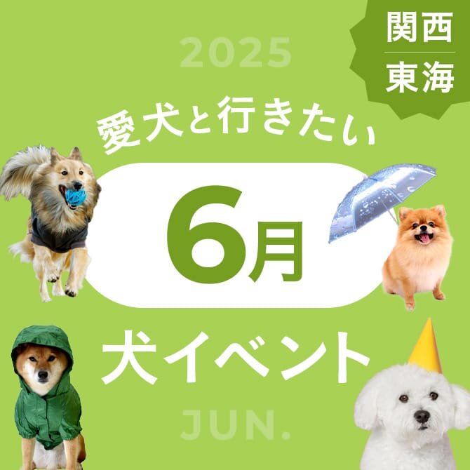【2025年6月】関西で愛犬と行きたいドッグイベント6選