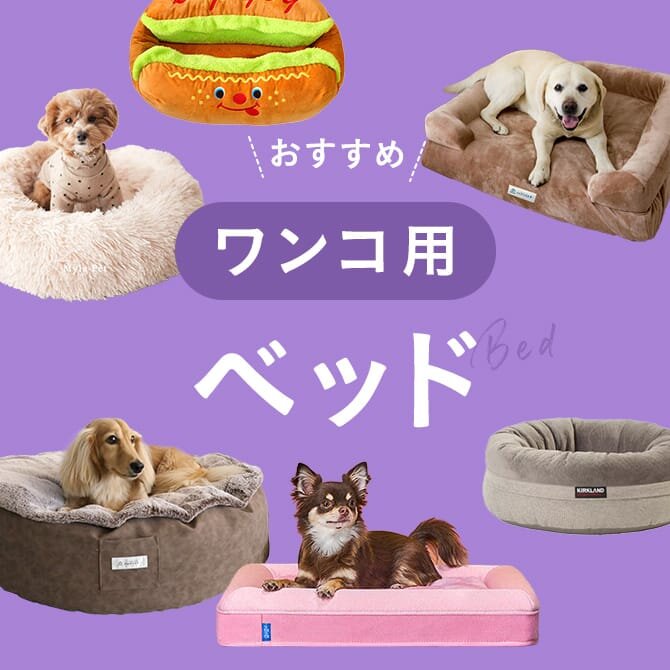 犬用ベッドおすすめ人気ランキング
