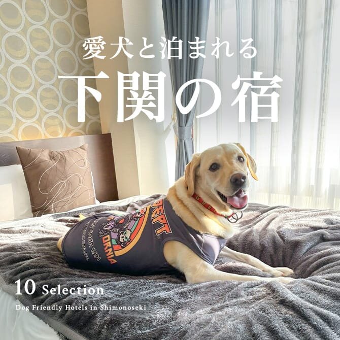 下関のペットと泊まれる宿｜山口県下関の犬と泊まれる宿・コテージ