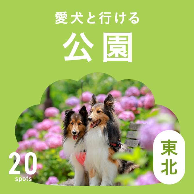 【東北の犬と行ける公園20選】ドッグランのある公園やおでかけにおすすめな公園