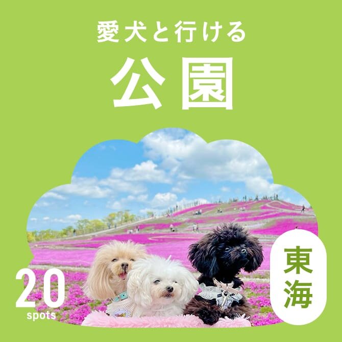 【東海の犬と行ける公園20選】ドッグランのある公園やおでかけにおすすめな公園