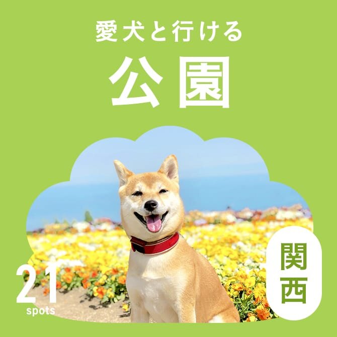 【関西の犬と行ける公園21選】ドッグランのある公園やおでかけにおすすめな公園