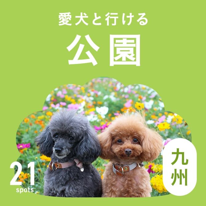【九州の犬と行ける公園21選】ドッグランのある公園やおでかけにおすすめな公園