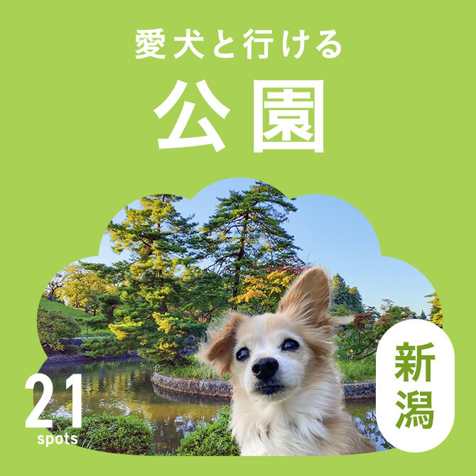 【新潟の犬と行ける公園21選】ドッグランのある公園やおでかけにおすすめな公園