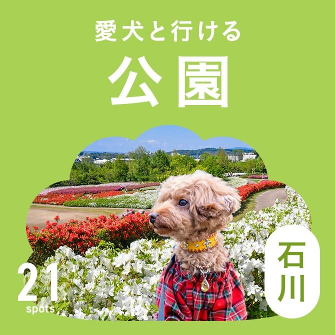 【石川の犬と行ける公園21選】ドッグランのある公園やおでかけにおすすめな公園
