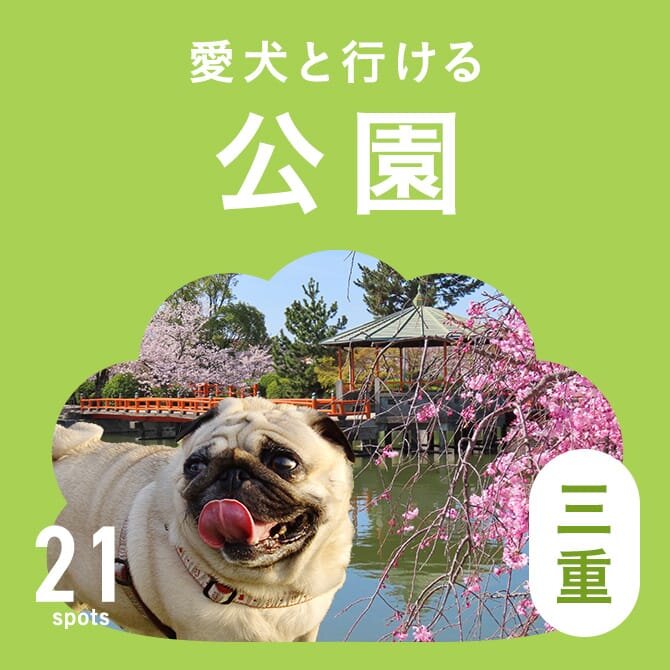 【三重の犬と行ける公園21選】ドッグランのある公園やおでかけにおすすめな公園