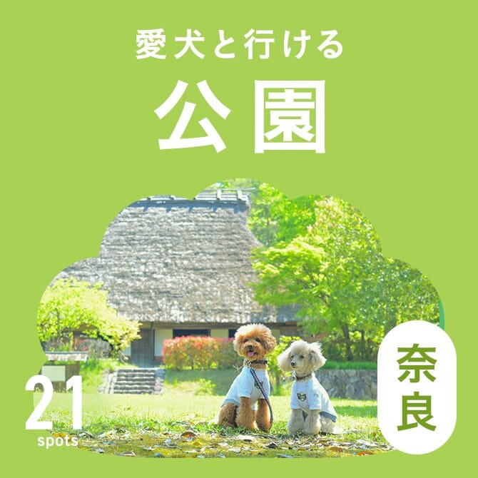 【奈良の犬と行ける公園21選】ドッグランのある公園やおでかけにおすすめな公園
