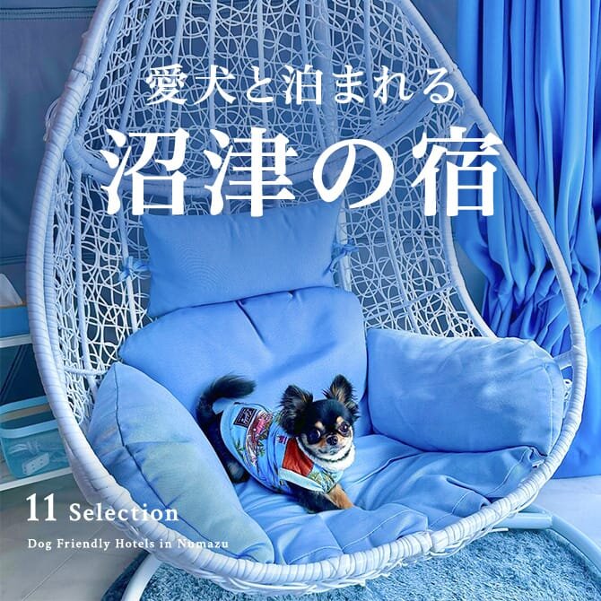 沼津のペットと泊まれる宿｜犬と泊まれるホテル・コテージ
