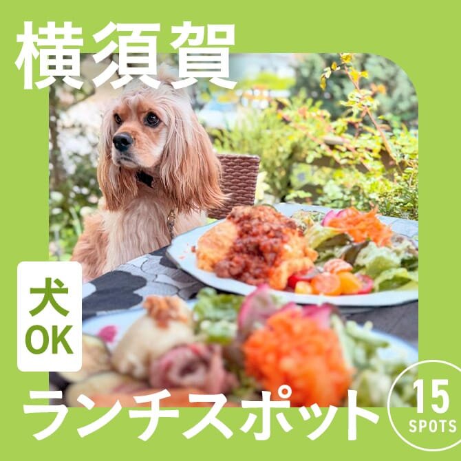 【横須賀】犬連れでランチできるカフェ15選！ペット可・店内犬同伴OKのお店