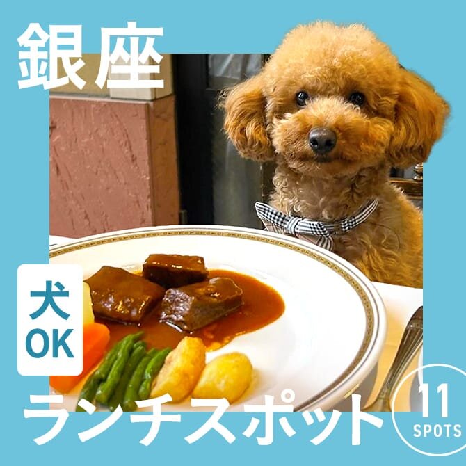 【銀座・犬連れランチまとめ】銀座エリアの愛犬と行けるカフェ・レストラン