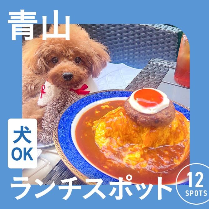 【青山・犬連れランチまとめ】青山エリアの愛犬と行けるカフェ・レストラン