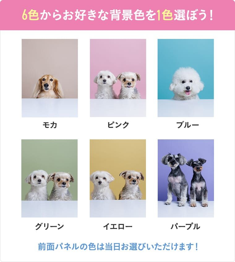 6色からお好きな背景色を1色選ぼう!モカ、ピンク、ブルー、グリーン、イエロー、パープル。前面パネルの色は当日お選びいただけます!