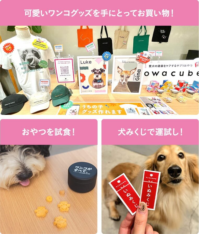 可愛いワンコグッズを手に取ってお買い物!おやつを試食!犬みくじで運試し!