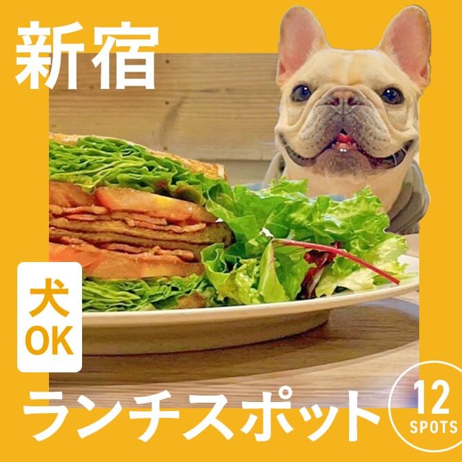 【新宿・犬連れランチまとめ】新宿エリアの愛犬と行けるカフェ・レストラン