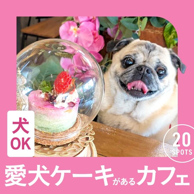 【愛犬用ケーキのあるカフェ】愛犬の誕生日に行きたい犬用誕生日ケーキのあるカフェ