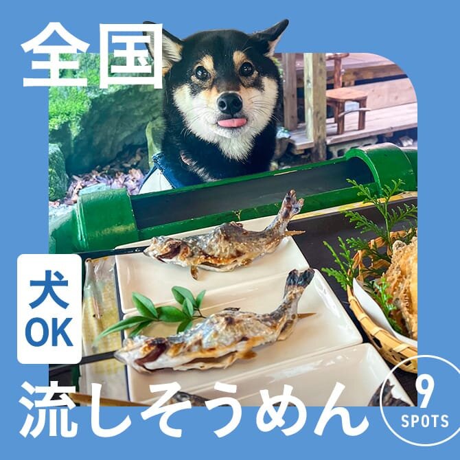 犬連れOKな流しそうめんのあるお店まとめ一覧