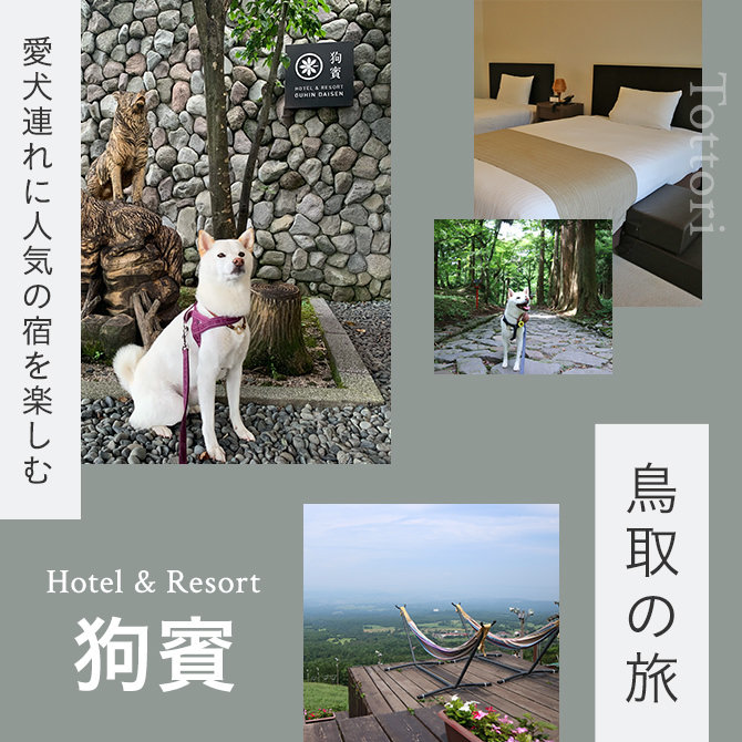 【鳥取の犬と泊まれる宿】Hotel＆Resort 狗賓と愛犬と行ける観光スポット！
