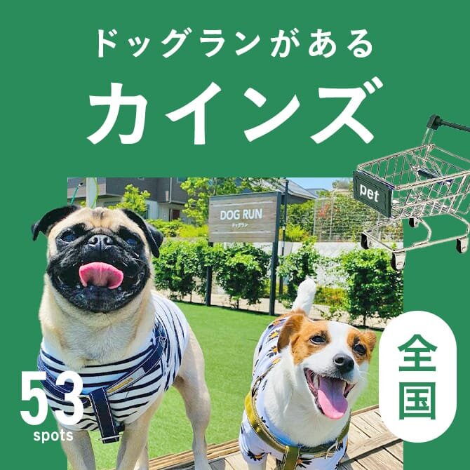 全国ドッグランのあるカインズホーム一覧まとめ