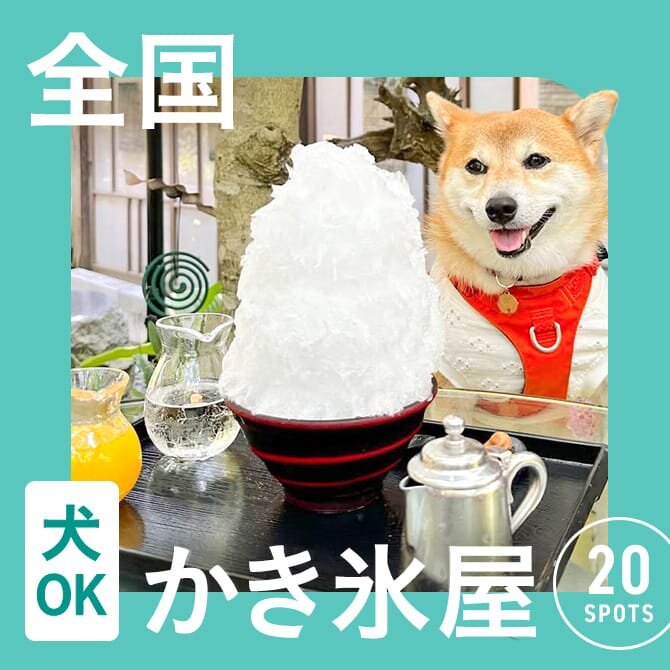 犬連れOKなかき氷のあるお店まとめ一覧