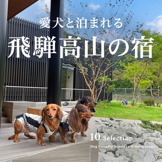 飛騨高山のペットと泊まれる宿｜飛騨高山の犬と泊まれる宿・コテージ