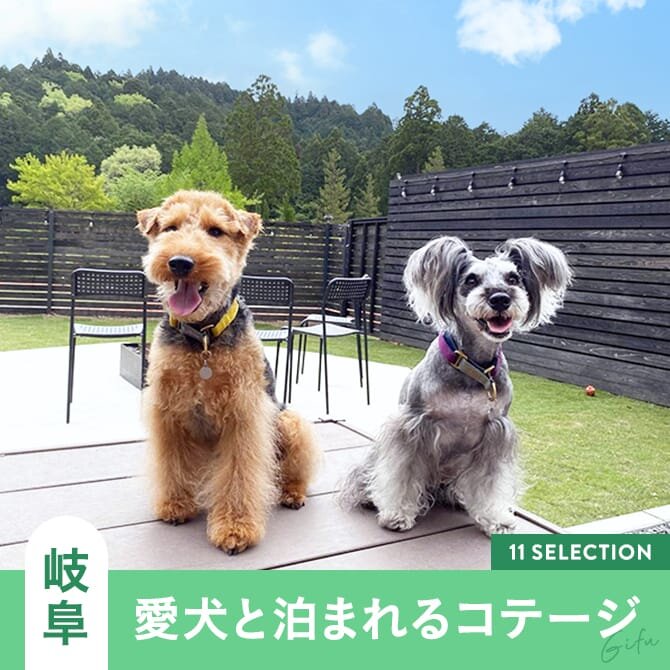 【岐阜の犬と泊まれるコテージ】ペットOK・人気ドッグラン付きコテージも